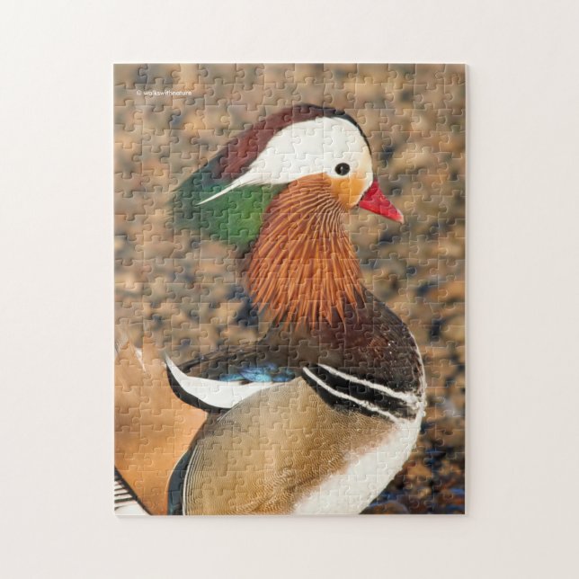 Schöne Mandarin-Duck auf den Felsen Puzzle (Vertikal)