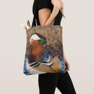 Schöne Mandarin-Duck im Teich