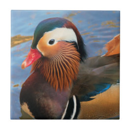 Schöne Mandarin-Duck im Teich Fliese