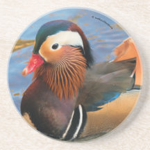 Schöne Mandarin-Duck im Teich