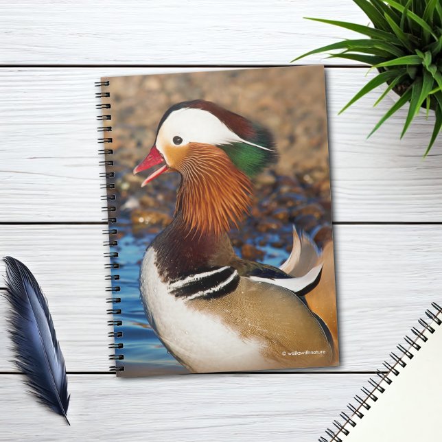Schöne Mandarin-Duck im Teich Notizblock (Chatty Mandarin Duck at the Lake Journal Cover Photo)