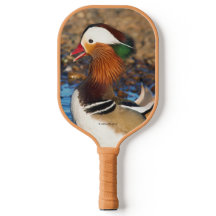 Schöne Mandarin-Duck im Teich