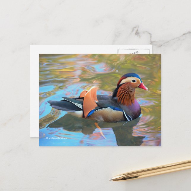 Schöne Mandarin-Duck im Teich Postkarte (Vorderseite/Rückseite Beispiel)