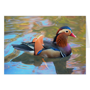 Schöne Mandarin-Ente im Teich