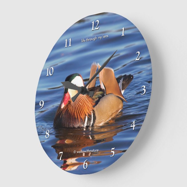 Schöne Mandarinente am Teich Große Wanduhr (Winkel)