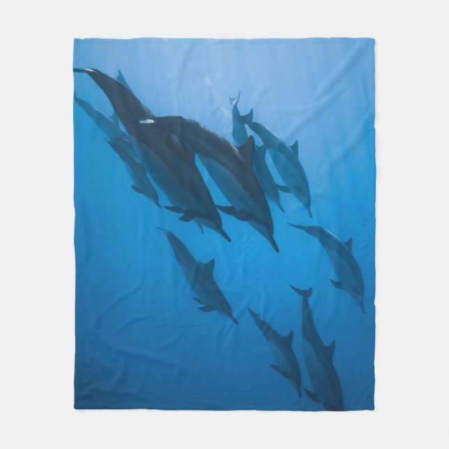 Schöne Meereslebewesen Fleecedecke (Vorderseite)