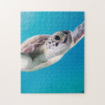 Schöne Meeresschildkröte Baden im Ozean