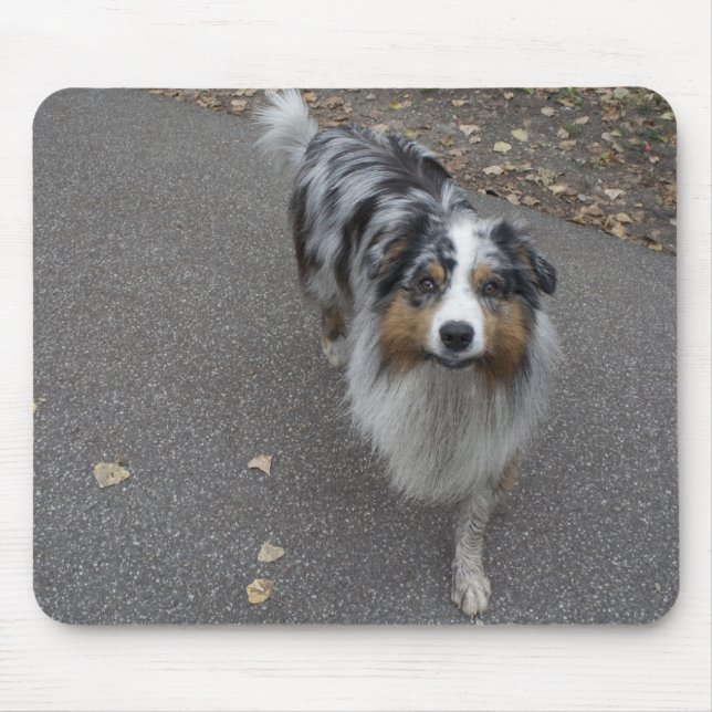 Schöne, mehrfarbige Aussie Mousepad (Vorne)