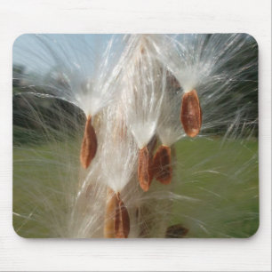 Schöne Milkweed Magie: Ein Skyward-Flugdesign Mousepad