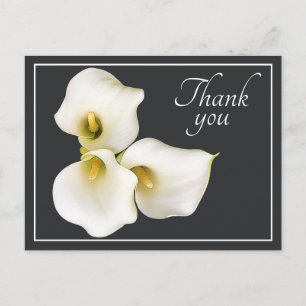 Schöne moderne weiße Calla-Lilie Botanische Dankes Postkarte