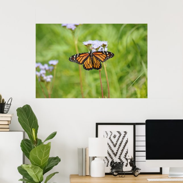 Schöne Monarch Butterfly Blumenfotografie Poster (Heimbüro)