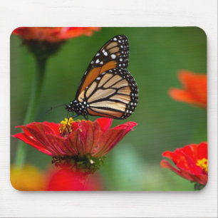 Schöne Monarch Butterfly Mousepad