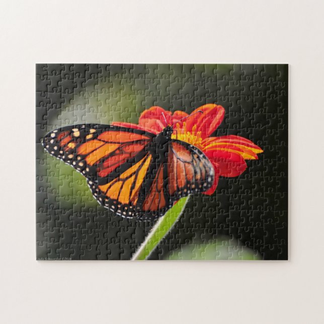 Schöne Monarch Butterfly - Puzzle (Horizontal)