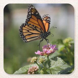 Schöne Monarch Butterfly Rechteckiger Pappuntersetzer