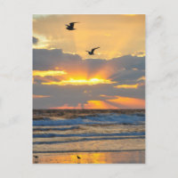 Schöne Morning Beach Sonnenaufgang Landschaft Post