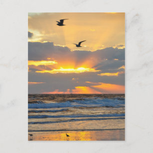 Schöne Morning Beach Sonnenaufgang Landschaft Post Postkarte