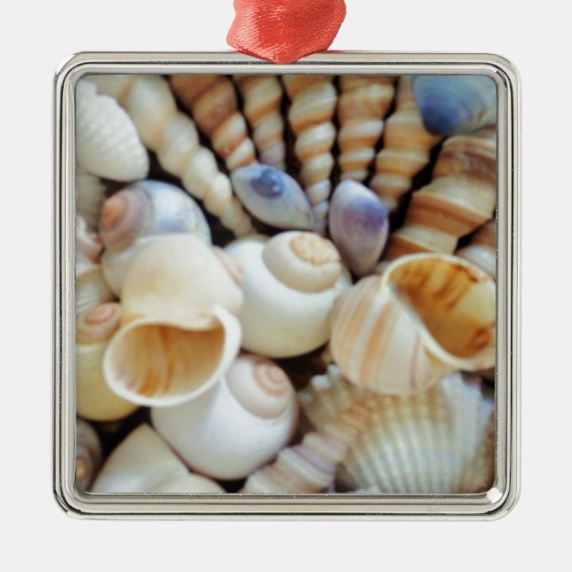 Schöne Muscheln, Sommer, Strand, Muscheln Ornament Aus Metall (Vorne)