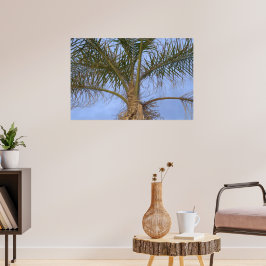 Schöne Nahe Palmenbaume Poster