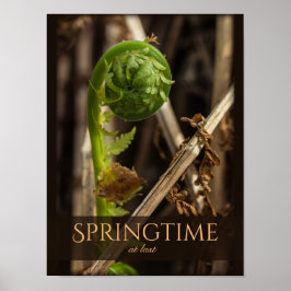 Schöne Natur Junge Farn steigt CC0921 Frühjahr Poster