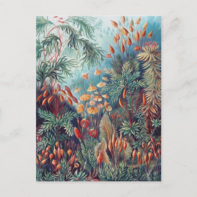 Schöne Natur - Moos Postkarte (Vorderseite)