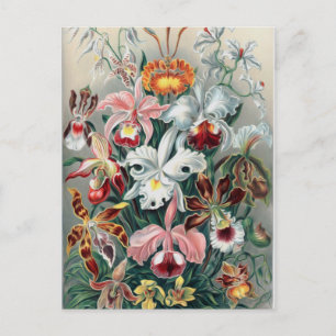 Schöne Natur - Orchideen Postkarte
