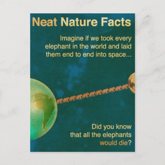 schöne Naturfakte Postkarte (Vorderseite)