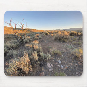 Schöne Nevada Wüste Mousepad