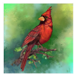 Schöne Northern Red Kardinal Bird Malerei Art  Acryl Wandkunst