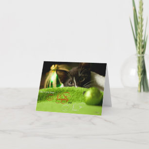 Schöne oder nette Kittenurfkarte Feiertagskarte