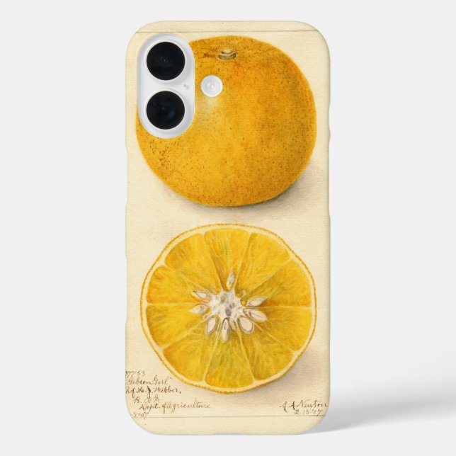 Schöne Orange Artwork Case-Mate iPhone Hülle (Rückseite)