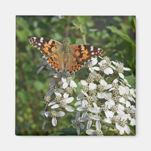 Schöne Orange Butterfly & White Blume Magnet