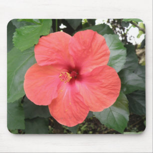 Schöne Orange Hibiskus Blume Mousepad