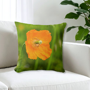 Schöne orange Mohnblume Sommer Foto Grün Kissen