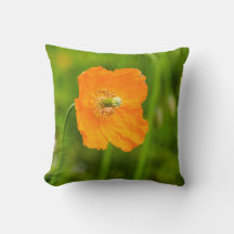 Schöne orange Mohnblume Sommer Foto Grün