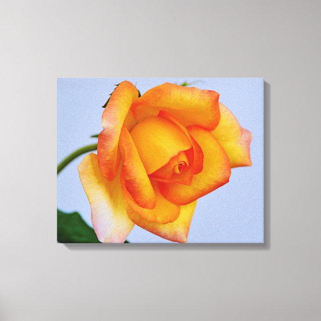 Schöne Orange Rose Leinwand Art Printing (Vorderseite)