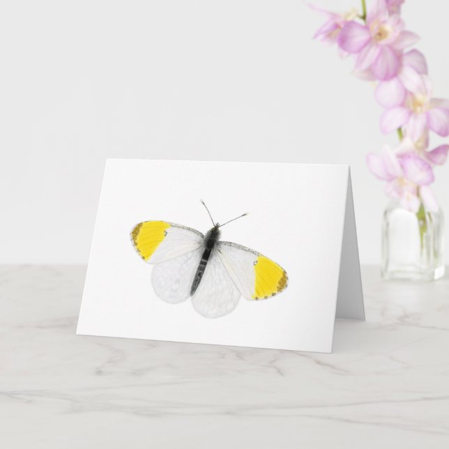 Schöne Orange-Spitze-Butterfly Karte (Orchidee)