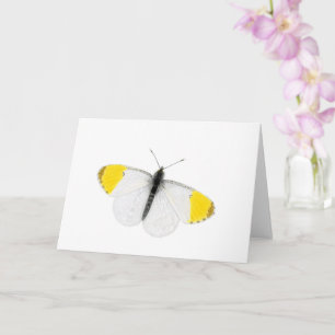 Schöne Orange-Spitze-Butterfly Karte