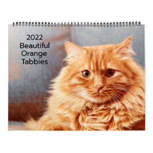 Schöne Orange Tabbies 2022 Kalender