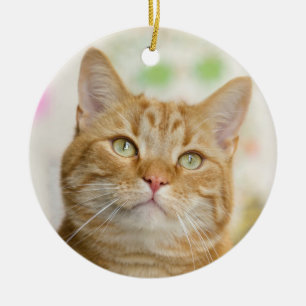Schöne Orange Tabby Cat Nah Keramik Ornament