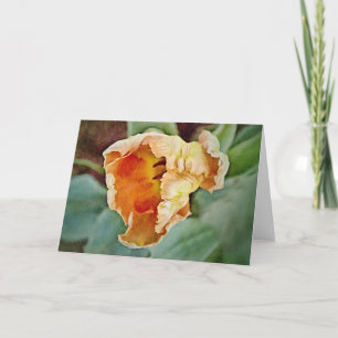 Schöne Orange Tulip Art Note Card Karte