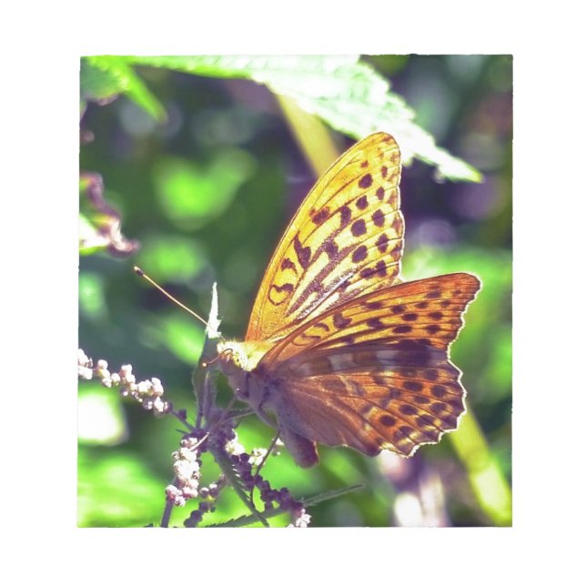 Schöne Orange und Gepunktete Schwarze Schmetterlin Notizblock (Vorderseite)