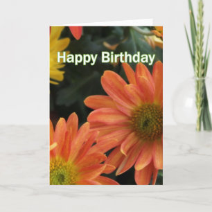 Schöne orangefarbene Gänseblümchen Blumen zum glüc Karte