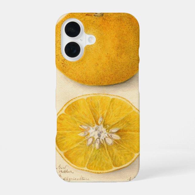 Schöne orangefarbene Kunstwerke iPhone 16 Hülle (Rückseite)