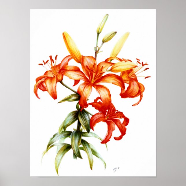 Schöne Orangenlippen, Bleistift und Aquarellkunst Poster (Vorne)