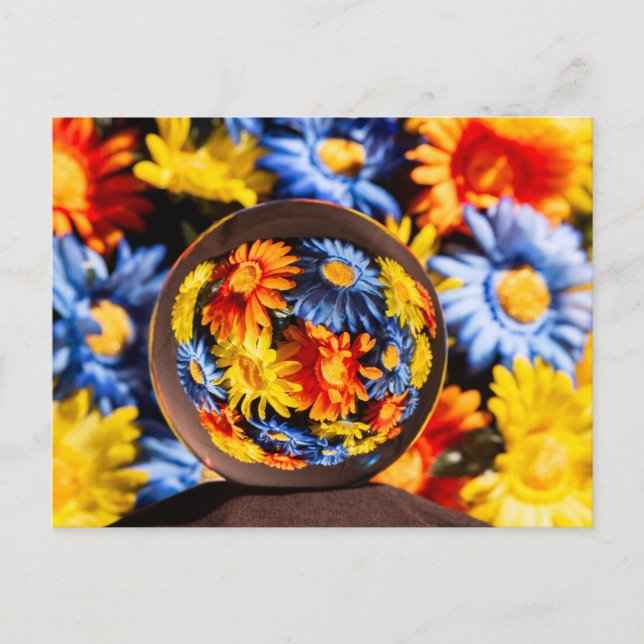 Schöne Orb-Blume Postkarte (Vorderseite)