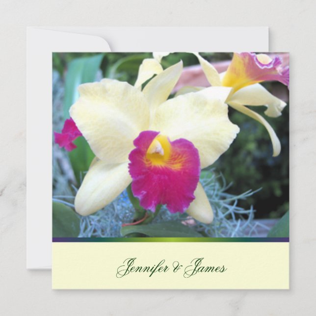 Schöne Orchid Hochzeit Einladung (Vorderseite)