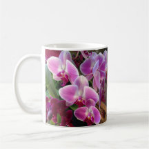 Schöne Orchid-Tasse