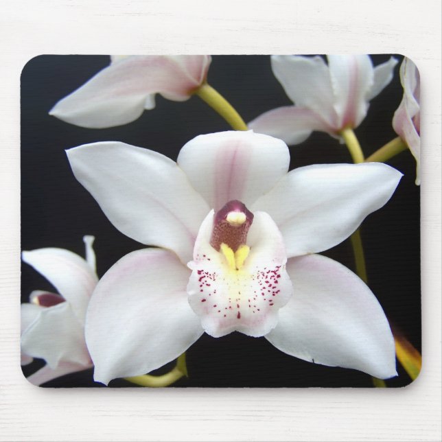 Schöne Orchidee Mousepad (Vorne)