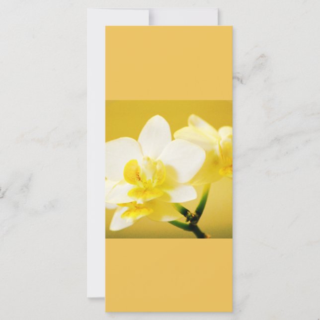 Schöne Orchideen-Blume behielt ruhig lesen auf (Vorderseite)