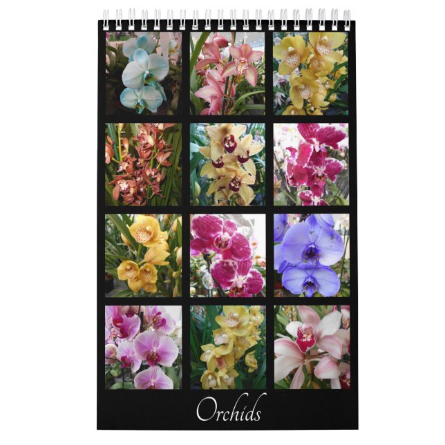Schöne Orchideen Kalender (Titelbild)